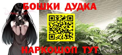 apvp Краснознаменск