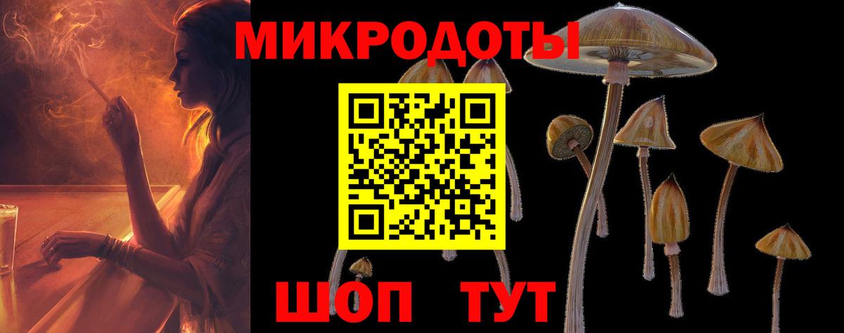 купить наркоту  Псилоцибиновые грибы Psilocybe  Вход с VPN  Псилоцибиновые грибы Psilocybe  Донской 