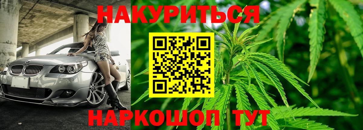 Бошки Шишки планчик Донской